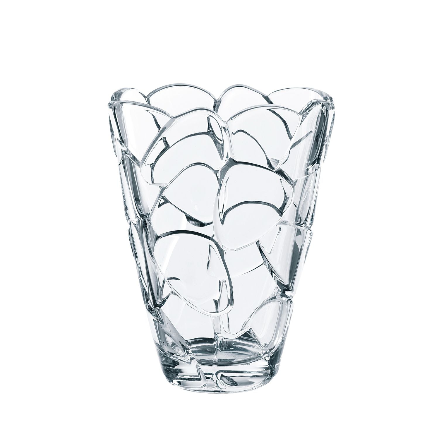 FLORERO PETALS NACHTAMAN, 22 CMS