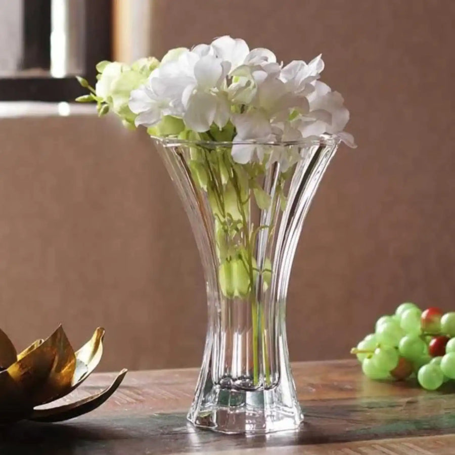 FLORERO SAPHIR NACHTMANN, 24 CMS