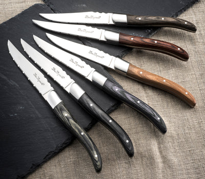 LOU LAGUILE SET 6 CUCHILLOS CARNE MIX COLORES (4135833796642)
