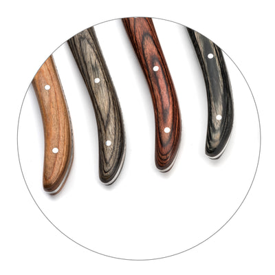 LOU LAGUILE SET 6 CUCHILLOS CARNE MIX COLORES (4135833796642)